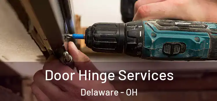 Door Hinge Services Delaware - OH