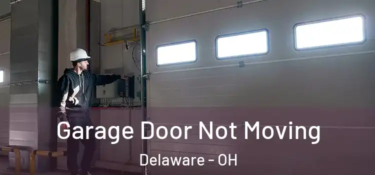  Garage Door Not Moving Delaware - OH