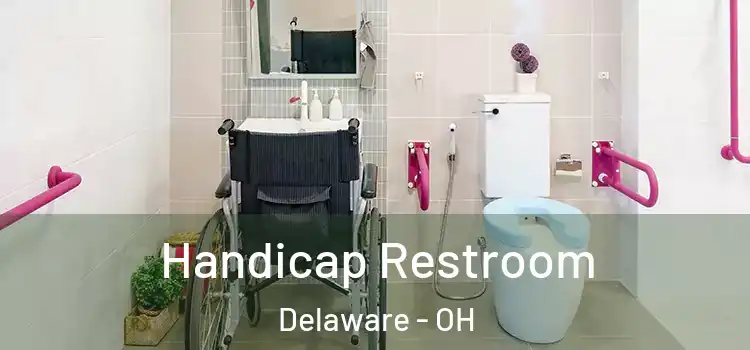  Handicap Restroom Delaware - OH