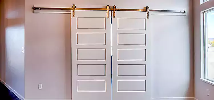 Glass Barn Door with Installation Hardware Kit Delaware