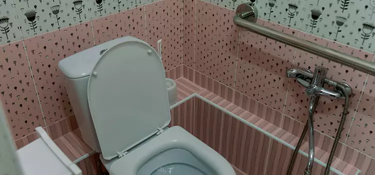 Meeting Diverse Needs With Accessible Restroom Solutions in Delaware, OH