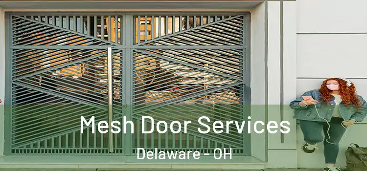 Mesh Door Services Delaware - OH