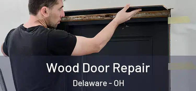 Wood Door Repair Delaware - OH